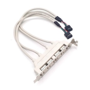 Cable Adaptador de Expansión USB para Placa Base, Cable de Soporte de Chasis USB de 4 Puertos, Cable USB 2.0 para Placa Base de Escritorio, 30 cm, en Existencia - Product Image 3