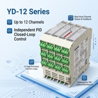 Controlador de Temperatura PID de 12 Canales Ydkz, Termopar Pt100 K J, RS485 Modbus Ethernet, Montaje en Riel DIN de 35 mm, Fabricante