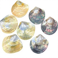 Vente directe usine Nouvelle Arrivée Coquille d'ormeau naturelle jaune et noire polie, fabriquée à Yiwu, design naturel, ornements décoratifs