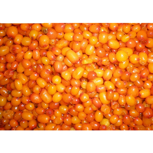 Fruits surgelés LQF en gros, 10 kg, 2-4,5 cm, Argousier surgelé - Product Image 3