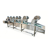 Fabrieksdirect volautomatische nieuwe YIHAI was- en drooglijn voor blauwe bessen, tomaten, mango's, fruit en groenten