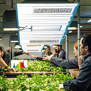 720 Wát có thể gập lại cho Samsung điốt LED Strip cho trong nhà nhà kính nhà máy dọc nông nghiệp điốt phát triển thanh ánh sáng - Product Image 4