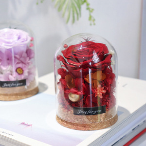 Cúpula de Cristal de Alta Gama con Rosas Preservadas, La Bella y la <span class=keywords><strong>Bestia</strong></span>, Flor Eterna Perfecto para el Dí<span class=keywords><strong>a</strong></span> de San Valentín, Dí<span class=keywords><strong>a</strong></span> de la Madre - Product Image 2