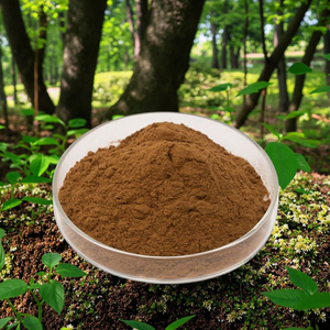 Extrait de Yucca en Poudre de Qualité Alimentaire à Bas Prix, Additif Alimentaire à Base de Plantes, Extrait Herbal par Extraction par Solvant, Conditionné en Bouteille ou en Bidon - <span class=keywords><strong>Wellgreen</strong></span> - Product Image 5