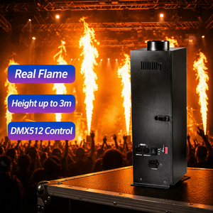 Topflashstar 200W Indoor Outdoor Real Flame Thrower Fire Machine DMX512 Sprinkler Stage Fire Effect Machine for Party <strong>DJ</strong> Event - Product Image 2