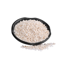 Granulés de perlite expansée poreuse, blanc pur, légers, 1-3 mm, qualité horticulture, amendement du sol hydroponique, aération, drainage