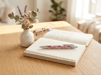 Stylo bille promotionnel en plastique avec impression personnalisée sur le corps, clip argenté, stylo rétractable pour le bureau et l'école