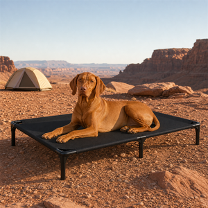 Cama elevada para perros para acampar en el desierto, con estructura de metal negro y malla, cama elevada para mascotas para viajes y descanso de <span class=keywords><strong>Vizsla</strong></span> - Product Image 1