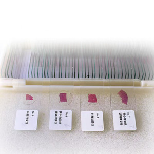 Cố định thiết lập 100pcs nói chung y tế sinh học <span class=keywords><strong>Slide</strong></span> chuẩn bị nói chung bệnh lý con người <span class=keywords><strong>Slide</strong></span> - Product Image 4