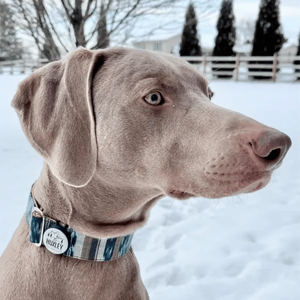 Porte-étiquette d'identification pour animaux de compagnie léger et personnalisable avec logo, en silicone souple - Product Image 3