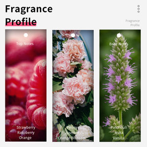 Vilily 25ml Parfum en spray écologique, fragrance fruitée chypre, tube à essai, échantillon pour femmes, vente en gros - Product Image 4