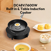 Cuisinière à induction solaire portable DC48V, table et encastrable pour camping-car, voyages en plein air, facile à utiliser