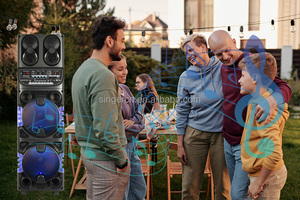 Loa âm thanh/âm ly khuếch đại Bosinas phổ biến nhất, loa lớn, loa ngoài trời, loa karaoke cho tiệc DJ - Product Image 6