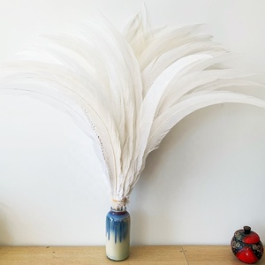 Plumas de faisán Lady Amherst para carnavales - Product Image 6
