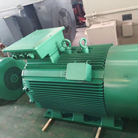 Motor de Inducción de Alto Voltaje Serie Y2 de Alta Eficiencia y Gran Potencia, 160-2000KW, 2-8 Polos, 3KV-13.8KV, Aislamiento Clase F para Minería
