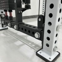 Machine Smith Professionnelle Multifonctionnelle en Acier Inoxydable pour Usage Commercial et Domestique, avec Pile de Poids de 70 kg et Équipement de Squat à Câbles Croisés