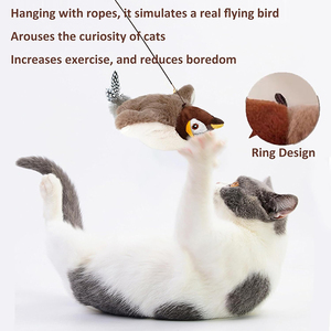 Jouet interactif rechargeable par USB pour chat, jouet simulant <span class=keywords><strong>le</strong></span> gazouillis des ailes du moineau cataire, nouvel arrivage - Product Image 3