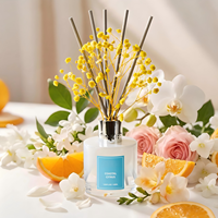 Diffuseur de parfum sur mesure OEM ODM Agrumes Côtiers 100ml Collier Argenté Parfum d'ambiance Vente en gros Longue Durée Élégant