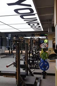 Machine de musculation inclinée AOSON MUSCLEPRO+ Fitness Design <span class=keywords><strong>GYM80</strong></span> pour exercices de pectoraux - Product Image 6
