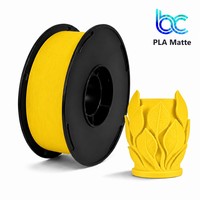 Filament PLA mat 1,75 mm 1 kg, sans obstruction, impression fluide, alimentation stable, impression FDM, filament pour imprimante 3D, facile à imprimer, 10 rouleaux