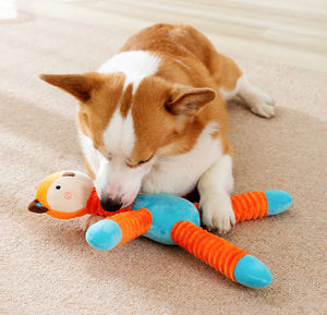 Interaktif şeyler toptan aktif eğitim çevre dostu özel etiket köpek oyuncakları - Product Image 4