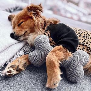 Juguete Masticable para Perros de Tela de Hueso, Color Personalizado, Clásico, Novedoso, Sabor a Asta, Palo Molar para Entrenamiento y Juego de Perros - Product Image 2