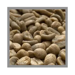 Arabica Catimor Reasonable Price Coffee Beans Supplier Green Coffee Bean Customized Logo Vietnam Coffee Manufacturer