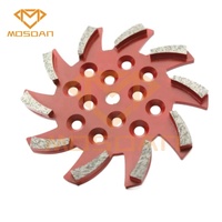 Plaque de meulage de sol en béton Blastrac diamatique de 10 pouces 250mm avec 10 segments