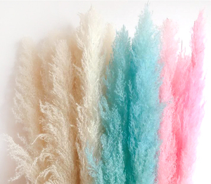 De pampas grass para decoración de <span class=keywords><strong>la</strong></span> boda flores - Product Image 6
