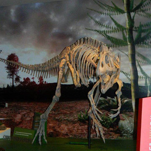Simulation haute taille de vie artificielle, couteau d'extérieur pour enfants, os de dinosaure - Product Image 6