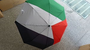 Custom Logo Cheap National Flag 100% Polyester 21*8K <strong>Travel</strong> Rain Sun Portable <strong>Repel</strong> <strong>Windproof</strong> Folding <strong>Umbrella</strong> Iran <strong>Umbrella</strong> - Product Image 5