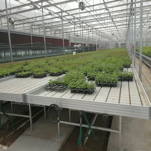 ABS Flood Table Plastic Hydroponics System Nursery Agriculture 4x8 Flood Trays Ebb And Flow Trays