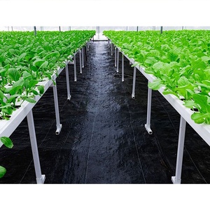 Film de paillette pour aménagement paysager de chine, couverture de <span class=keywords><strong>sol</strong></span>, plantes tissées pour agriculture - Product Image 4