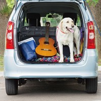 Housse de siège arrière de voiture pour chien, taille universelle, imperméable, durable, antidérapante, anti-rayures, pliable, pour chien de grande taille