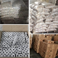 Support filtrant durable pour bactéries nitrifiantes avec 1300 ° Procédé de frittage C, support céramique fiable pour biofiltre d'aquaculture