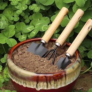 Juego de tres piezas de herramientas de jardinería de acero inoxidable para plantar y aflojar la tierra, herramientas manuales duraderas para jardín - Product Image 1
