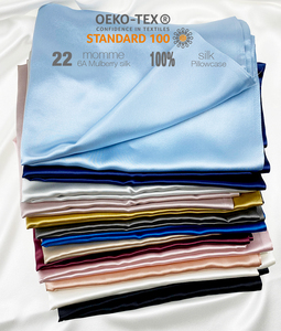 Bán Buôn Hiện Đại Sang Trọng Lụa Đệm Bìa Đồng Bằng Nhung Ném Gối Trường Hợp Nữ Hoàng Kích Thước Mềm Cho Nhà Hoặc Khách Sạn Sử Dụng - Product Image 4