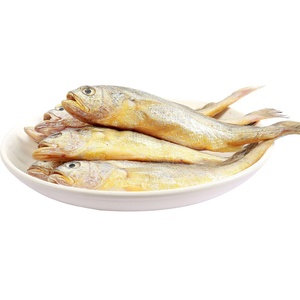 Corvina Amarilla Pequeña Fresca Congelada Capturada en el Mar, Caja Entera de Mariscos 500g, Venta al por Mayor, Pescado de la Mejor Calidad A+, Listo para Consumir - Product Image 2