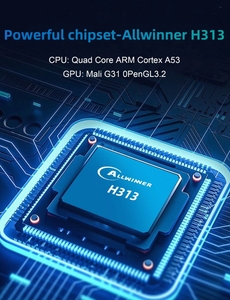 Nhà Máy 2025 giá rẻ nhất t1x TV Box kép <span class=keywords><strong>Wifi</strong></span> Android 14.0 Set Top Box Allwinner H313 4K 2GB RAM 16GB Rom dòng thông minh phương tiện truyền thông Máy nghe nhạc - Product Image 5