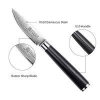 Kp5 Oem Schilmes 3.5 Inch Japanse Vg10 Stalen Kern Damascus Mes Keukenmes G10 Handvat Scherp Koksmes