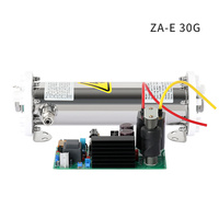 Zeao Wasser kühlung Emaille Ozonrohr Große Luft Reinigen Sie den Ozonator 10G-80G/Std. Ozoniertes Wasser aufbereitung system