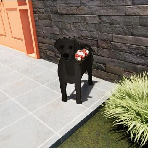 Labrador (noir