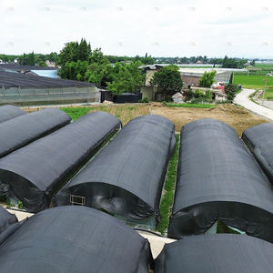 Sistema de Ventilación Lateral para Cultivo de Hongos, Invernadero de Privación de Luz, Película de Plástico Negra, Invernadero Agrícola para Hongos - Product Image 3