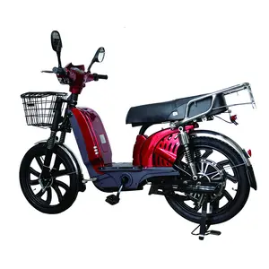 Velo electrique livraison Xe đạp điện xe máy thể thao với padel nhỏ E xe đạp Giao hàng Xe tay ga chu kỳ pin xe đạp điện