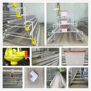 กรงเลี้ยงไก่<span class=keywords><strong>ไข่</strong></span>แบบให้อาหารอัตโนมัติ 3/4 ชั้น ชุบสังกะสีแบบร้อน รุ่น A Type 96/120/128/160 สำหรับใช้ในบ้าน - Product Image 6