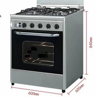 Cuisinière verticale intégrée à 60 brûleurs à gaz avec four, exportation européenne et britannique, barbecue
