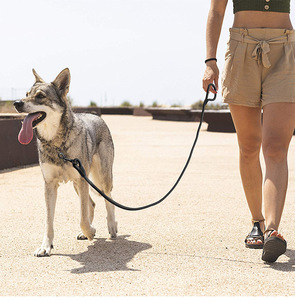 Correa protectora para perro, correa redonda de color Olid, <span class=keywords><strong>collar</strong></span> para perro grande XXS - Product Image 4