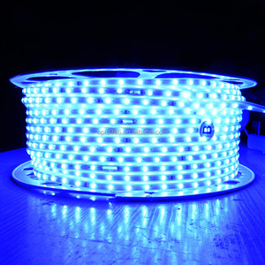 Striscia <span class=keywords><strong>LED</strong></span> <span class=keywords><strong>220V</strong></span> 4040 60LED/m Impermeabile Flessibile Luce <span class=keywords><strong>LED</strong></span> Bianca Bianco Caldo Blu per Esterni Illuminazione Paesaggistica per Casa Hotel Decorazione - Product Image 2