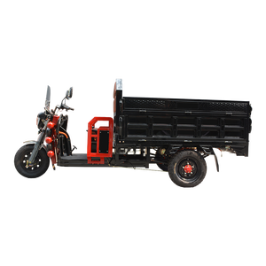 2025 Mô Hình Mới 600W 1000W 3 Bánh Xe Khung Thép 60V Xe Đạp Vận Chuyển Hành Khách 48V Điện Áp Điện Ba Bánh - Product Image 2