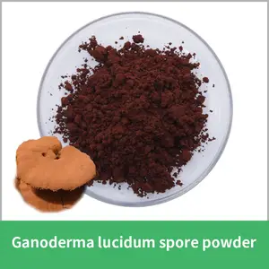 Customized Private Ganoderma Reishi Mushroom Coffee Powder 2.5g*20sachets/box